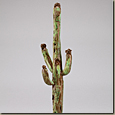 Saguaro with Screech Owl